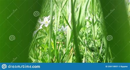 珠海網(wǎng)游推廣員怎么做_手游廠商top50:共創(chuàng)甜蜜游戲事業(yè),享受成功滋味