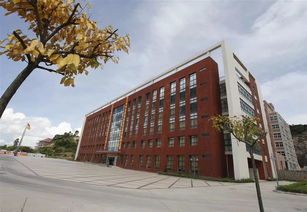 珠海金灣5所本科高校投檔線公布，職業教育培訓助力學子成才